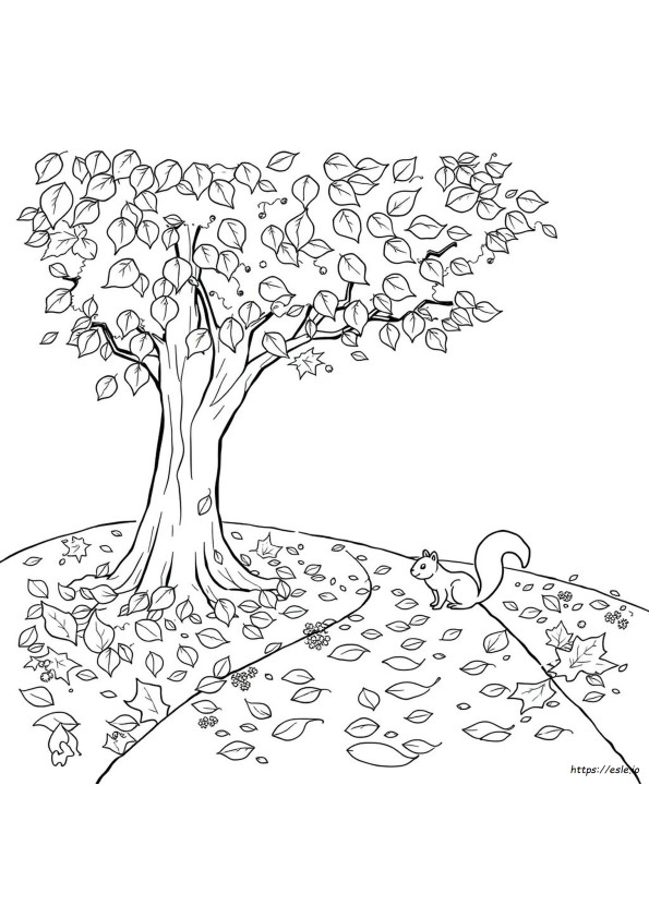 Páginas De Color Para Hojas Pdf