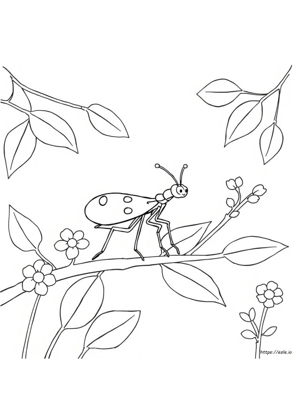 Stick Bug Coloring Page