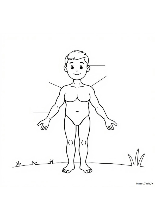 Body Parts Coloring Pages