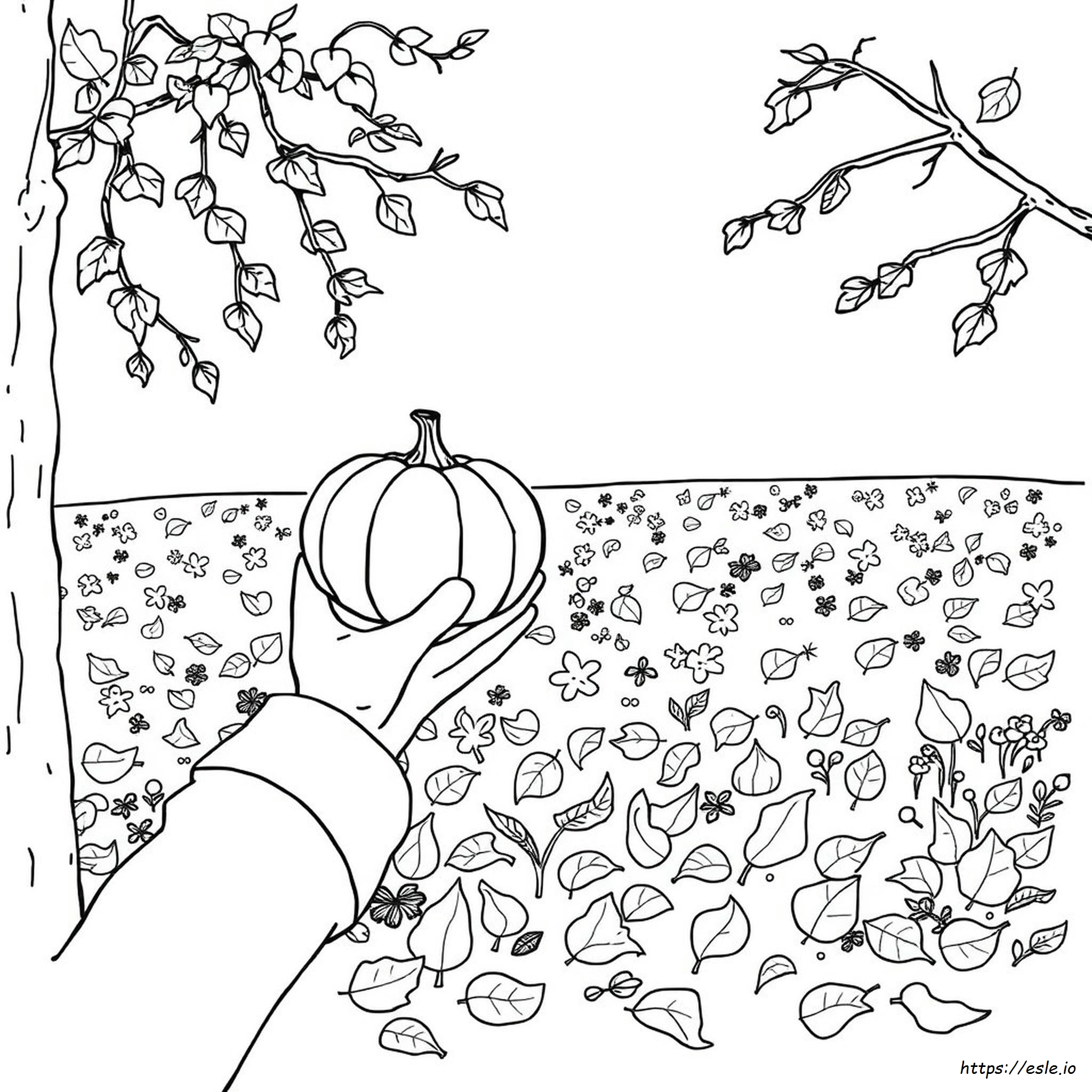 What Is The Birth Color For November - Coloring Page