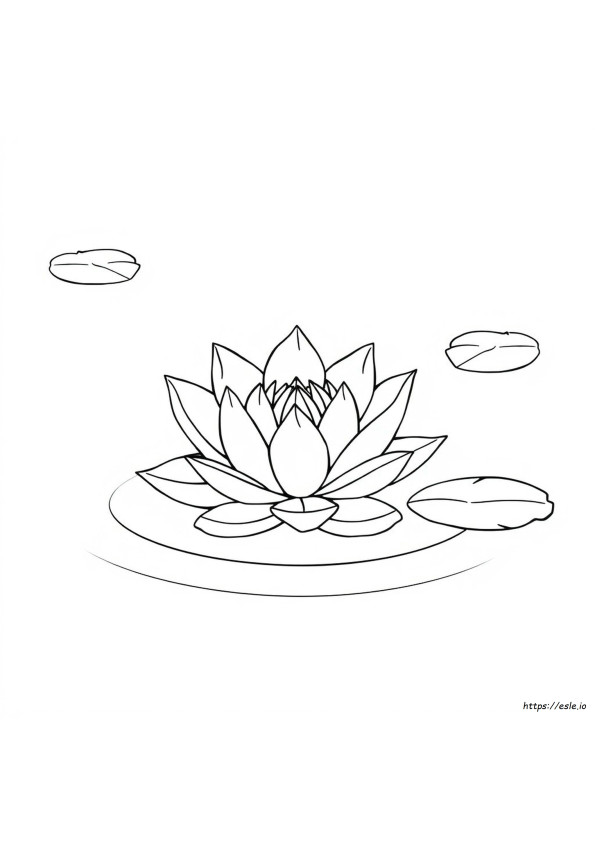 Stress Relief Coloring Books