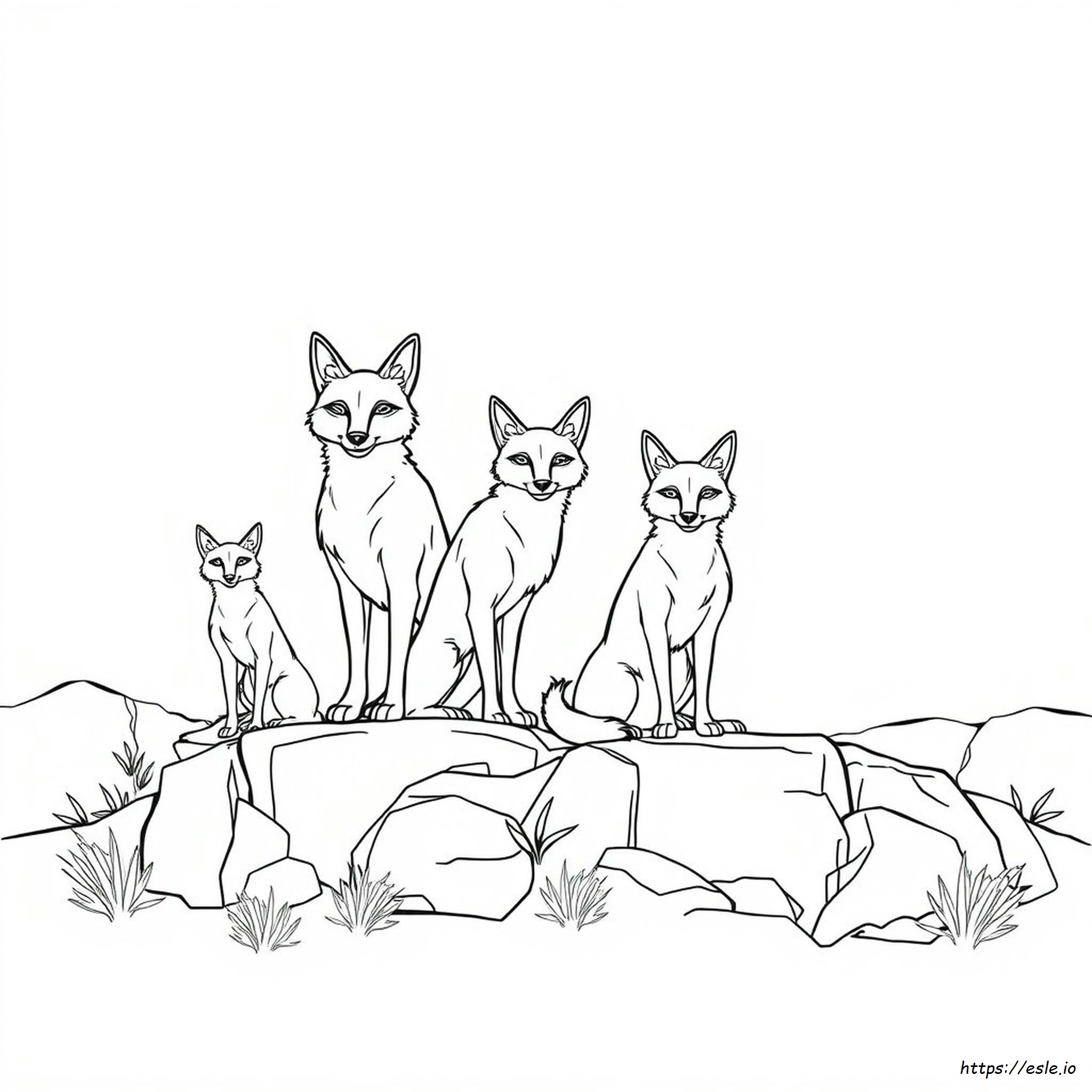 Different Colors Of Coyotes - Coloring Pages