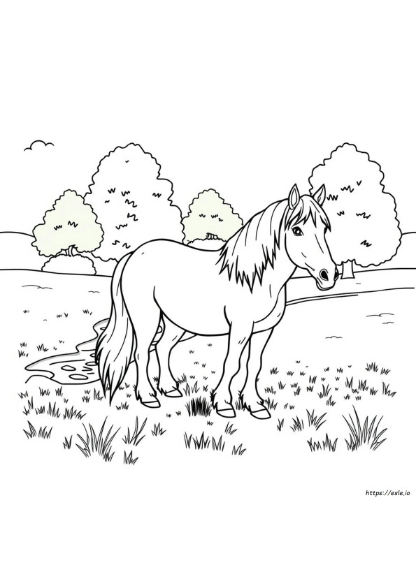 Shire Pferde Ausmalbilder