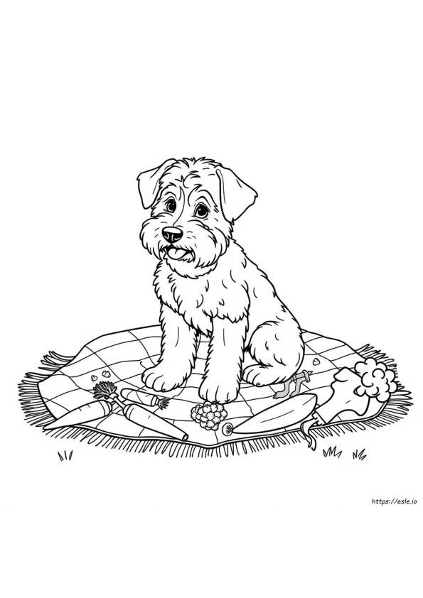 Cibo Da Colorare Per Cani