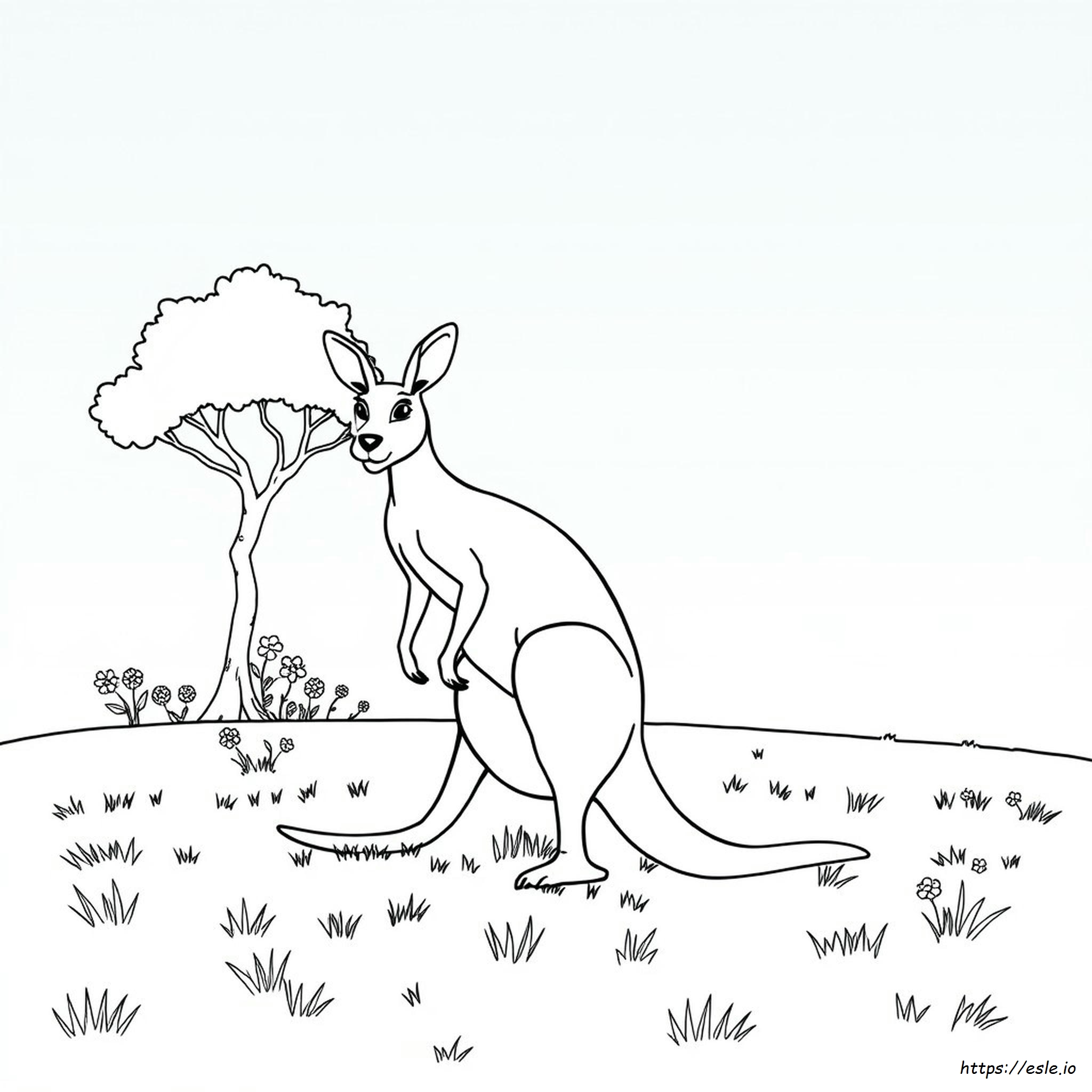 Kangaroo Coloring Pages Printable - Free PDF for Kids