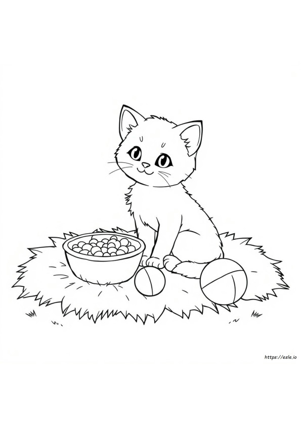 Gattino Da Colorare Gratis