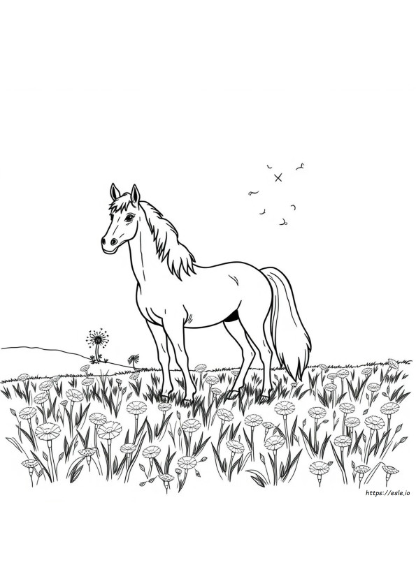 Palomino Coloring Pages