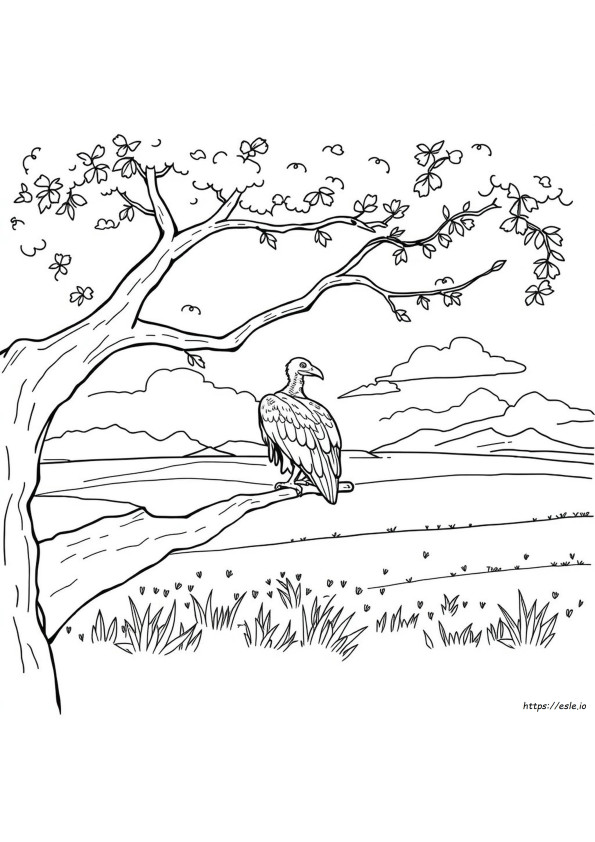 Abutre Para Colorir