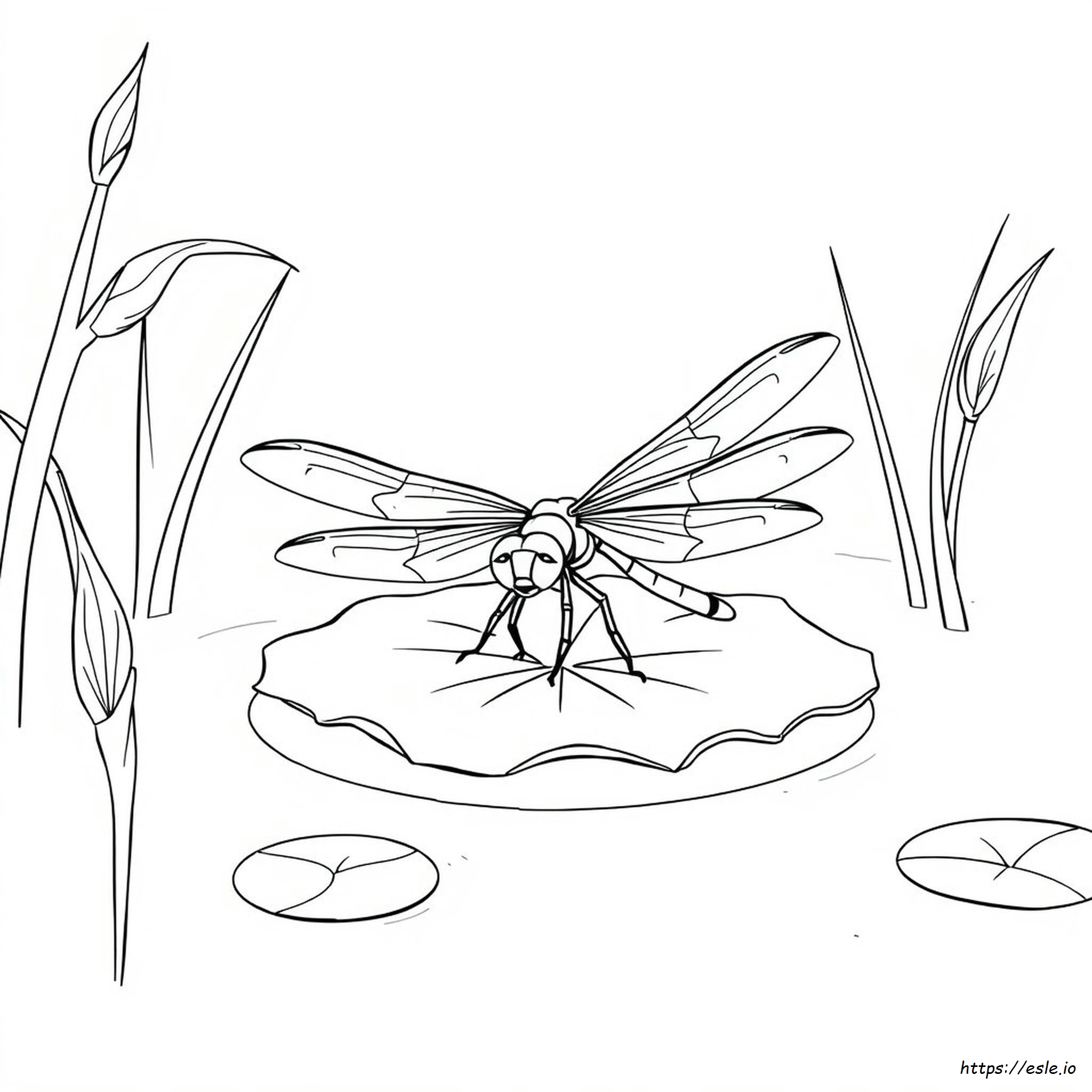 Dragonfly Coloring Pages Printable - Free PDF