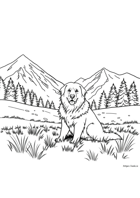 Disegni Da Colorare Del Grande Pastore Dei Pirenei