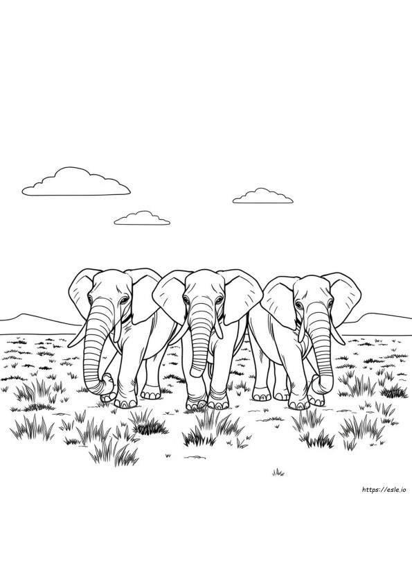 Coloring Pages Of Elephants For Adults