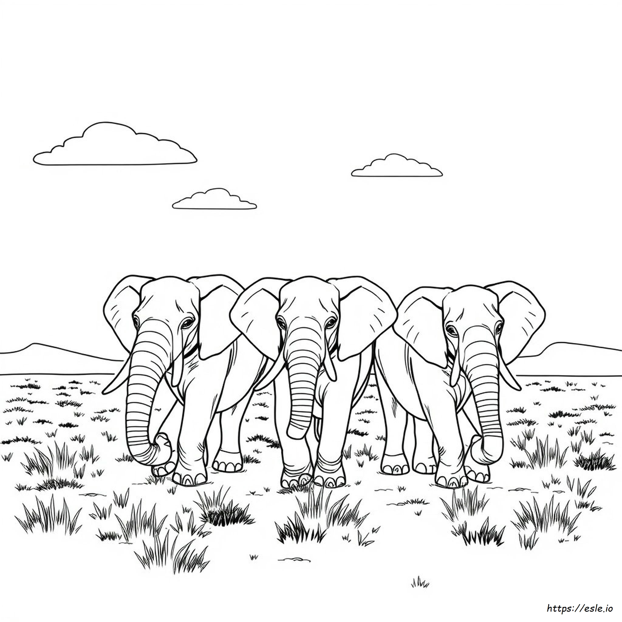 Coloring Pages Of Elephants For Adults