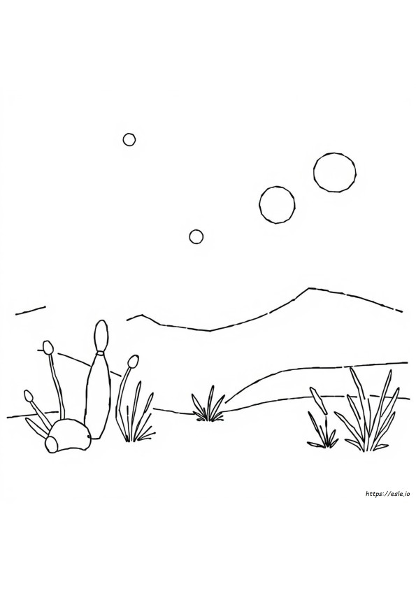 Paint By Number Coloring Books