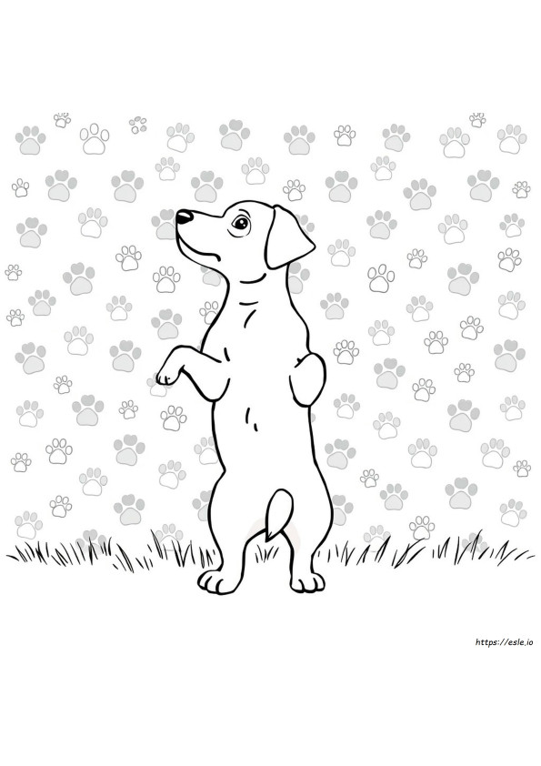 Dog Print Coloring Pages