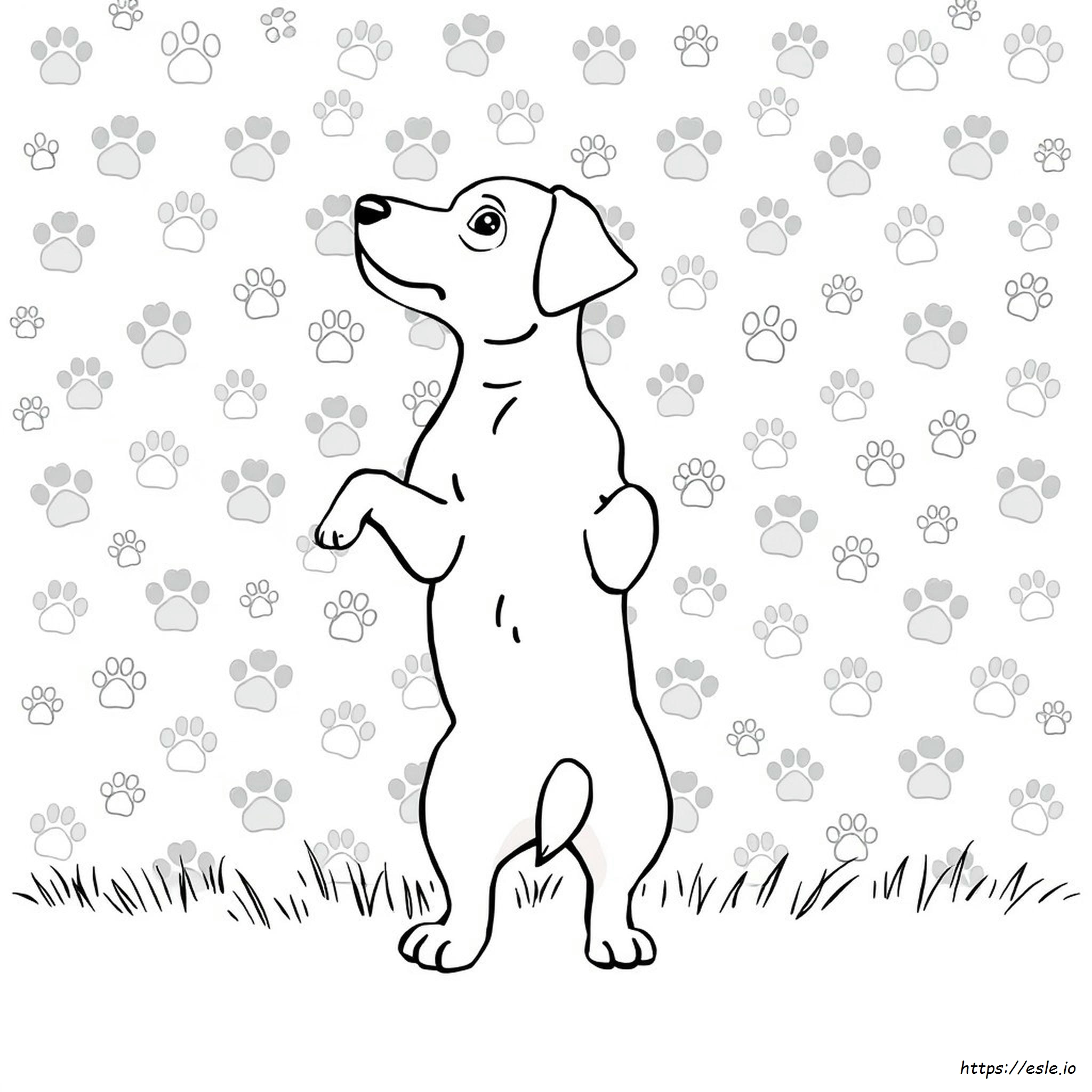 Dog Print Coloring Pages