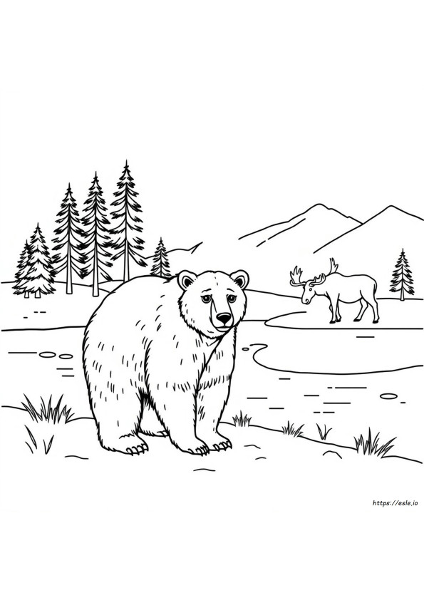 Alaska Dieren Kleurplaten