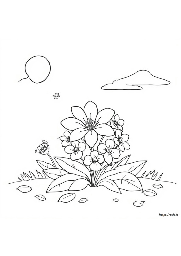 Blumen Ausmalbilder