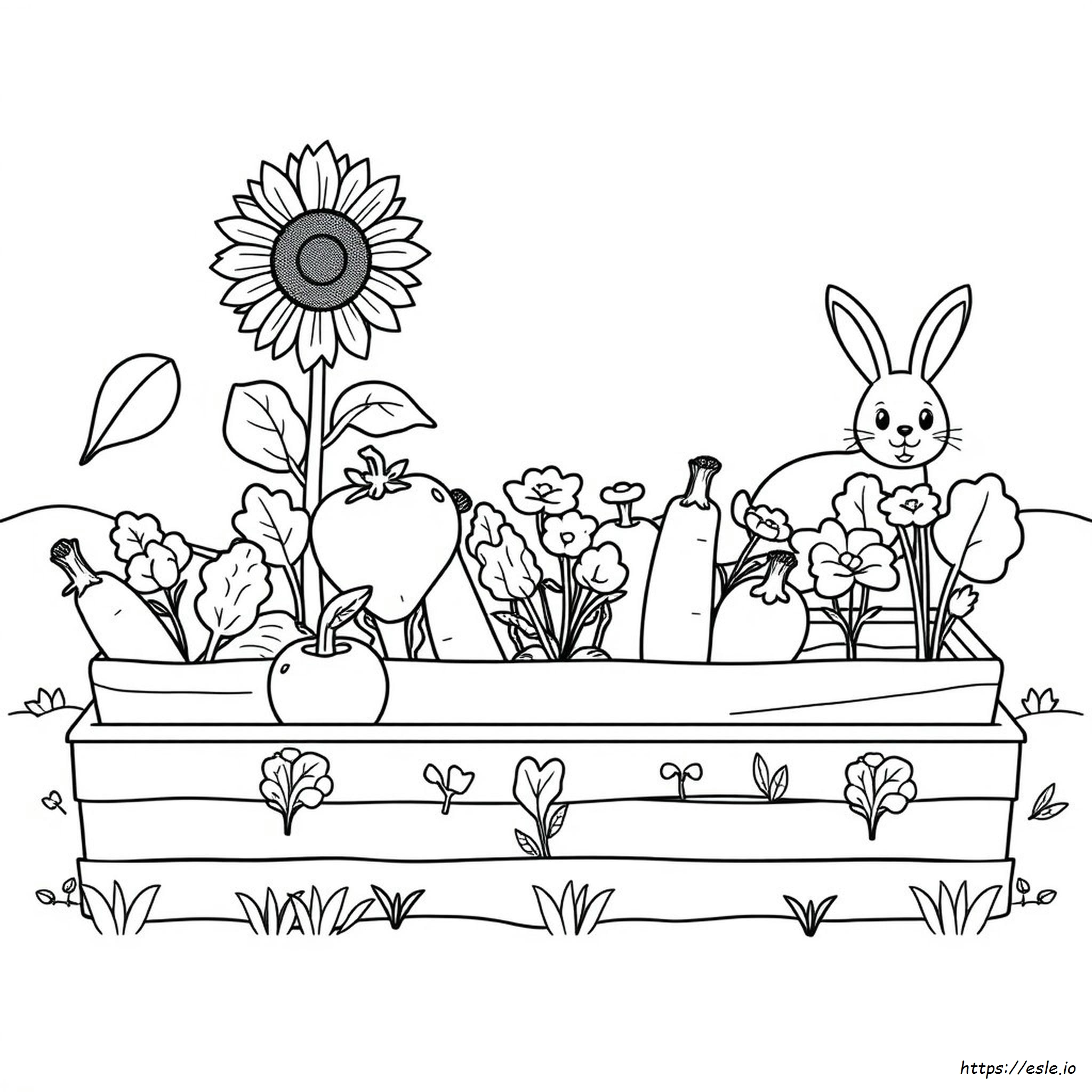 Coloring Pages Of Veggies - Free Printable Sheets