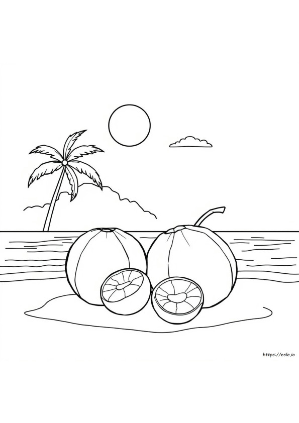 Coconut Coloring Picture