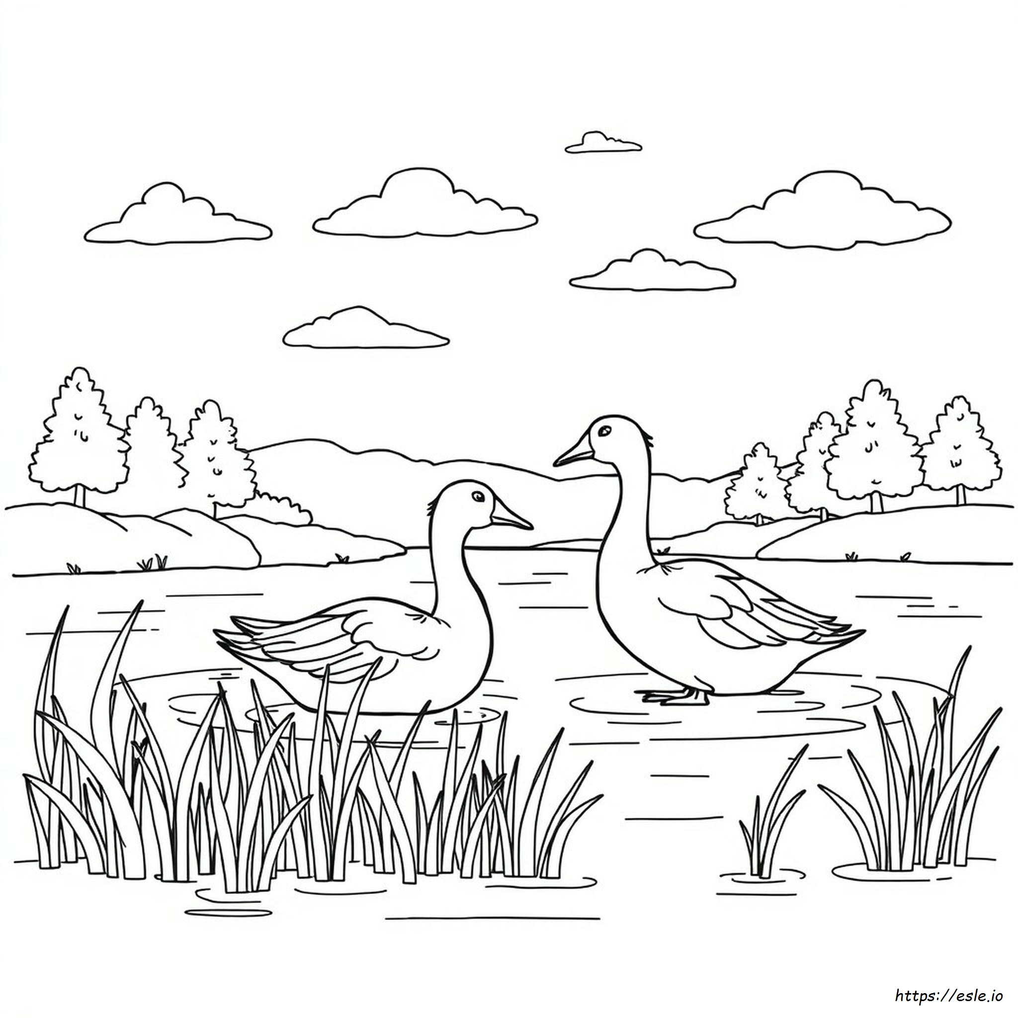 What Colors Do Geese See Coloring Page