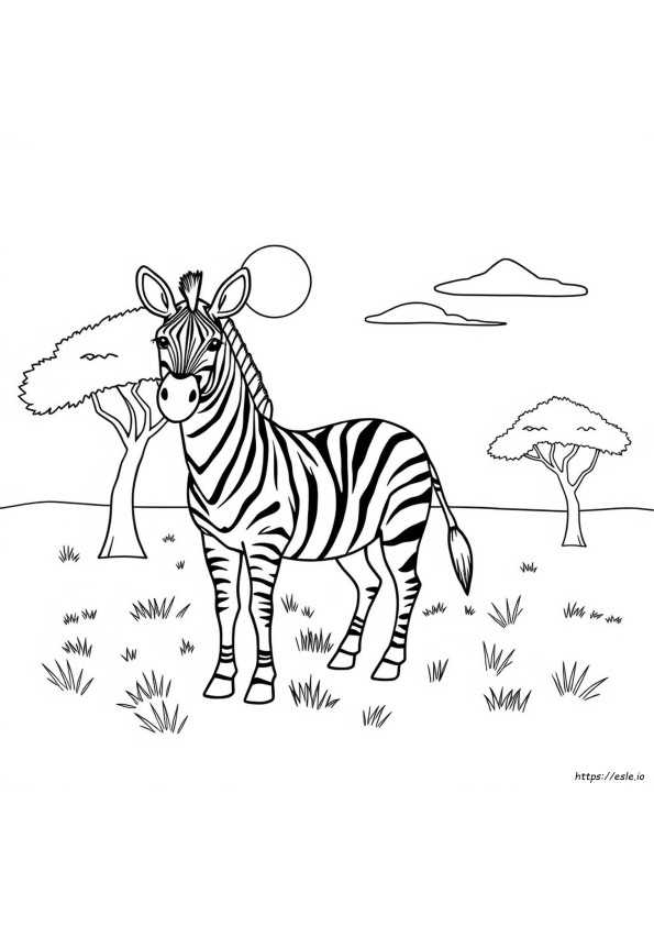 Zebra Print Coloring Page