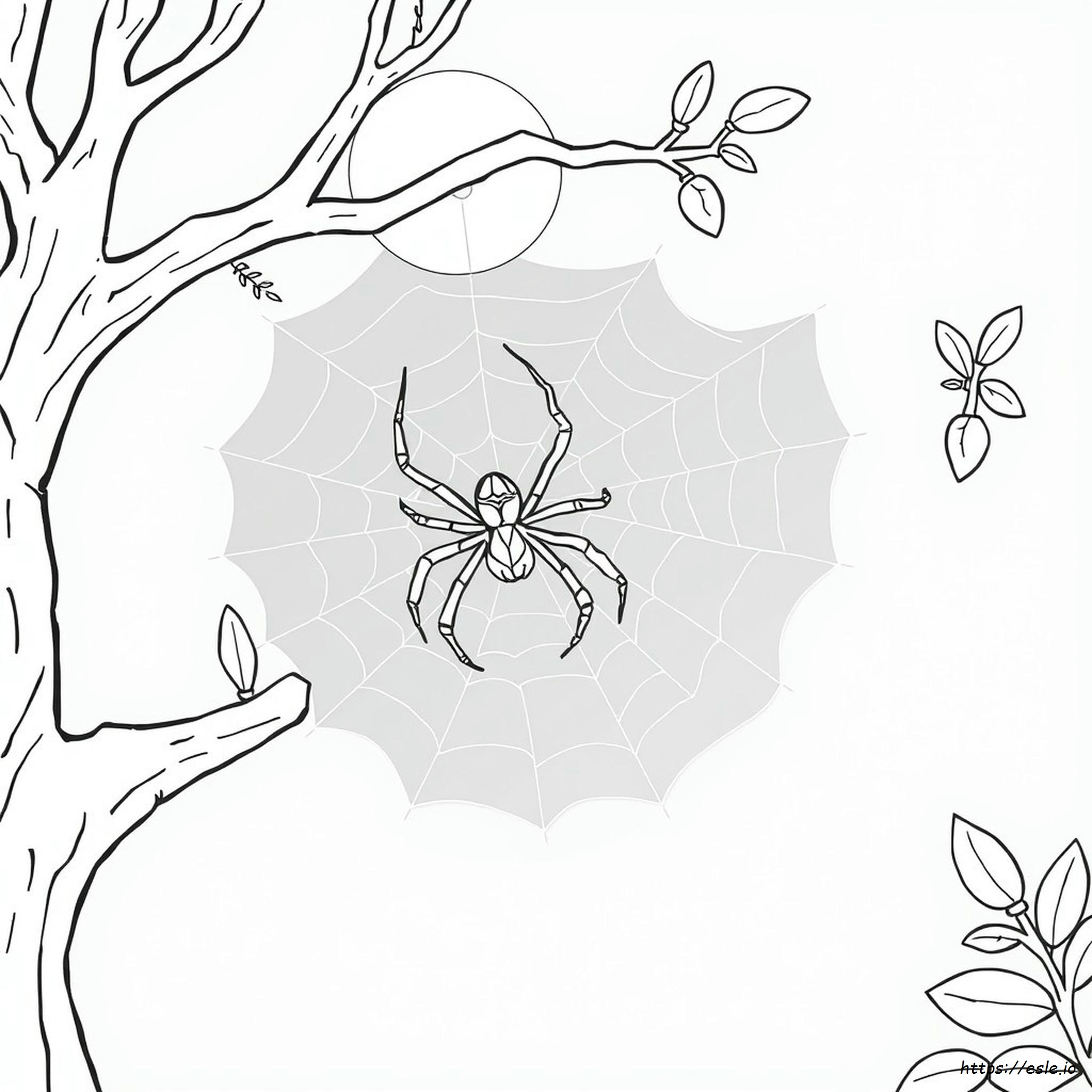 Spider Coloring Pages To Print