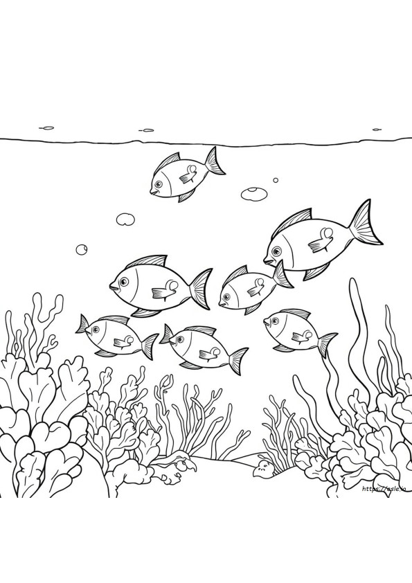 Aquatic Coloring Pages