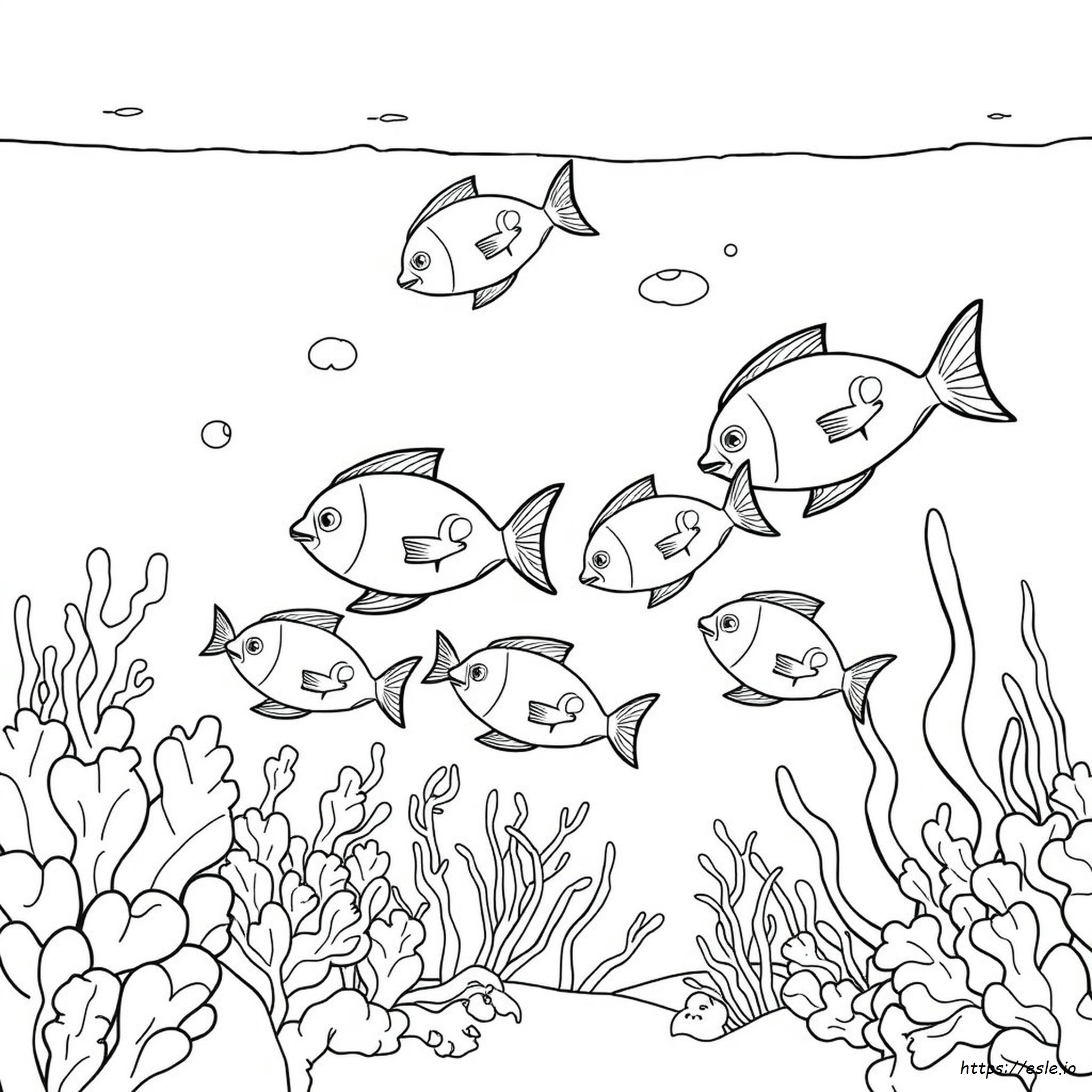 Aquatic Coloring Pages - Free Printable Ocean Animals