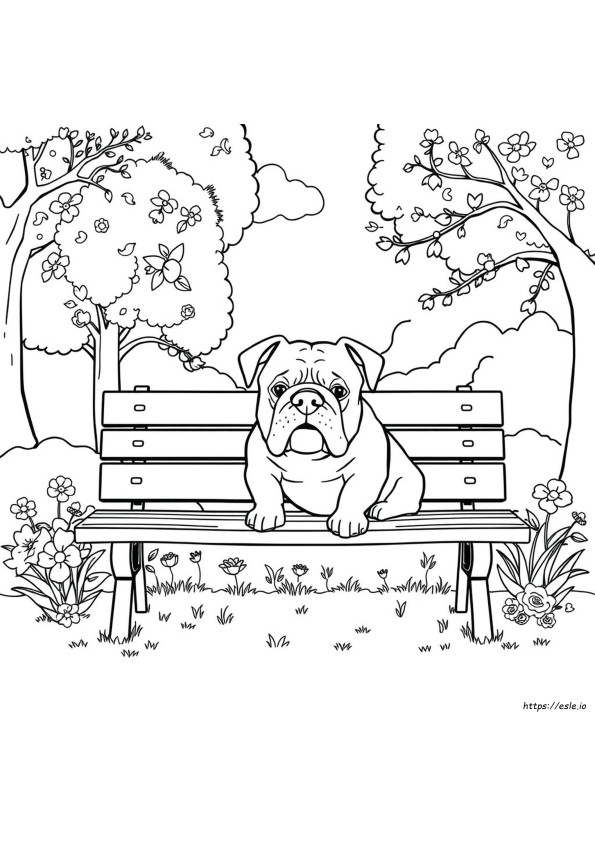 Englische Bulldogge Ausmalbilder Zum Ausdrucken