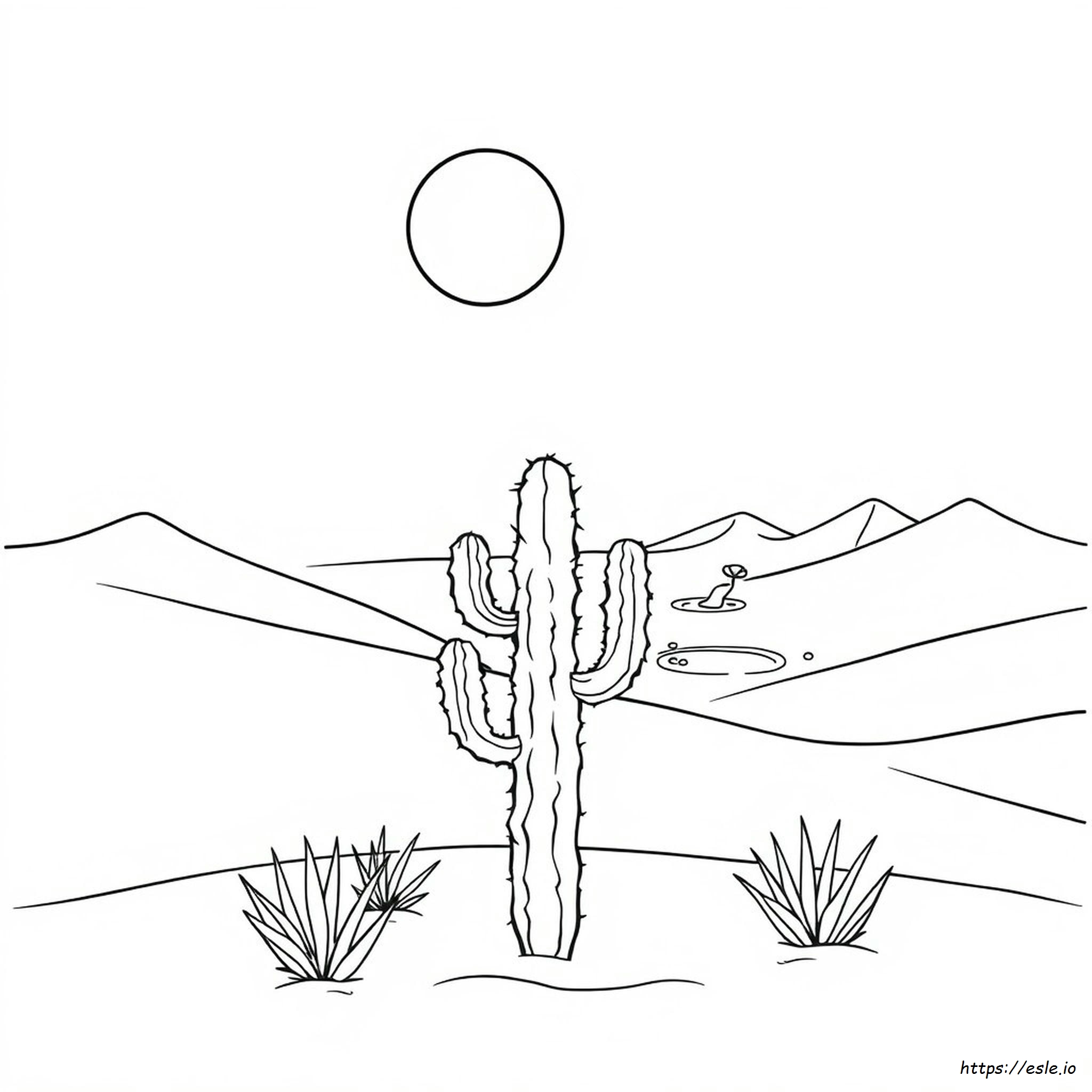Printable Desert Coloring Pages