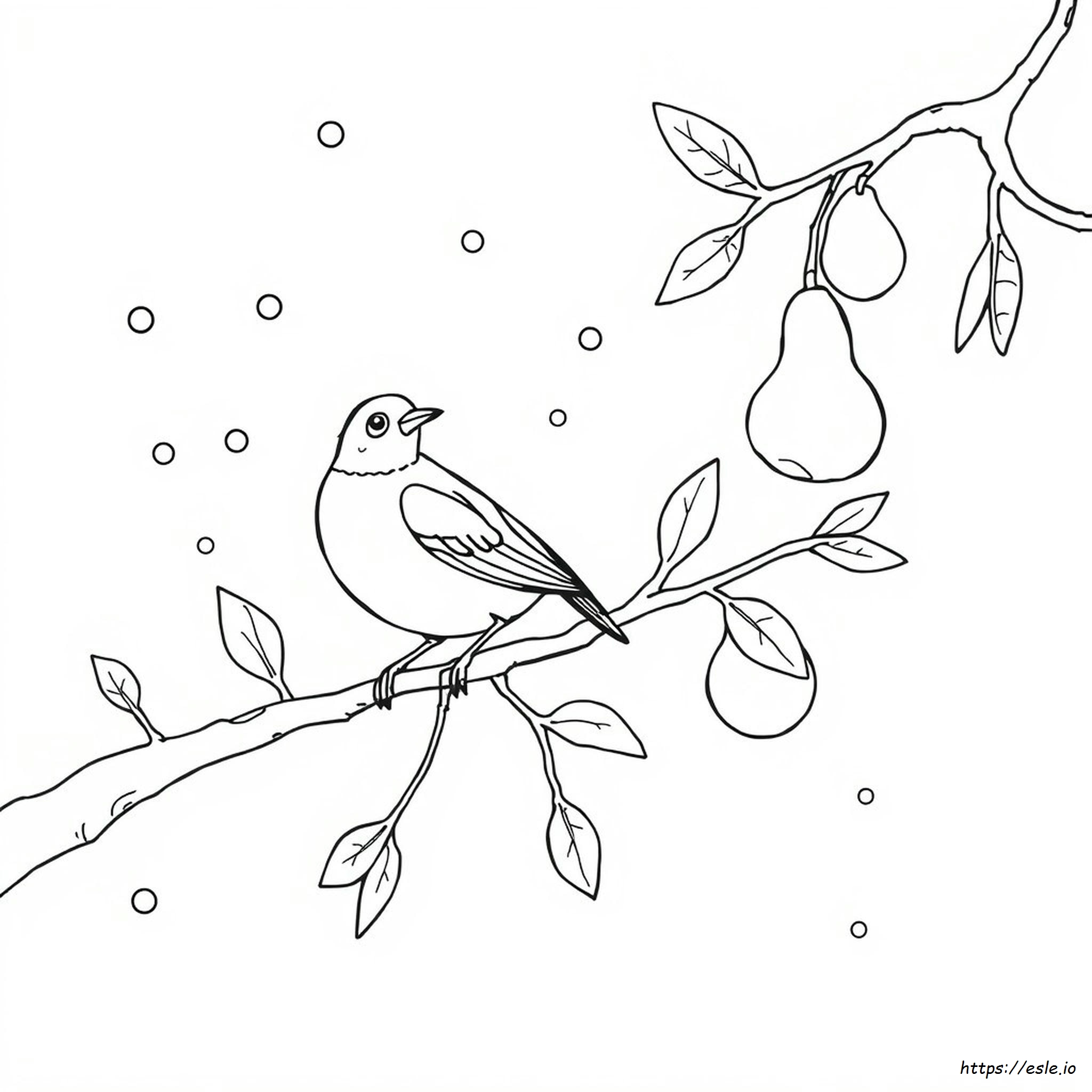 Partridge In A Pear Tree Coloring Page