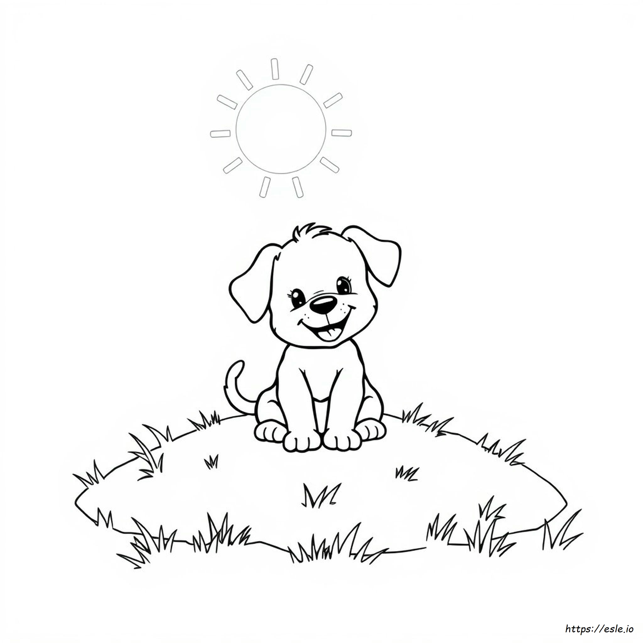Immagini Di Cuccioli Da Colorare - Gratis Da Stampare