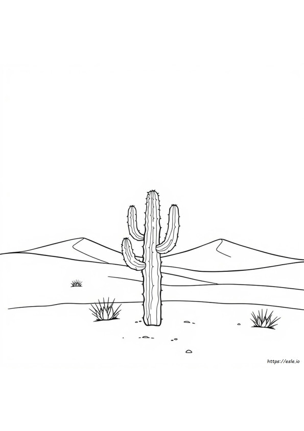 Deserto Da Colorare