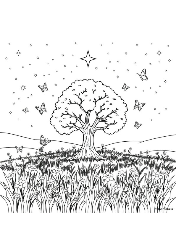 Sacred Nature Coloring Book