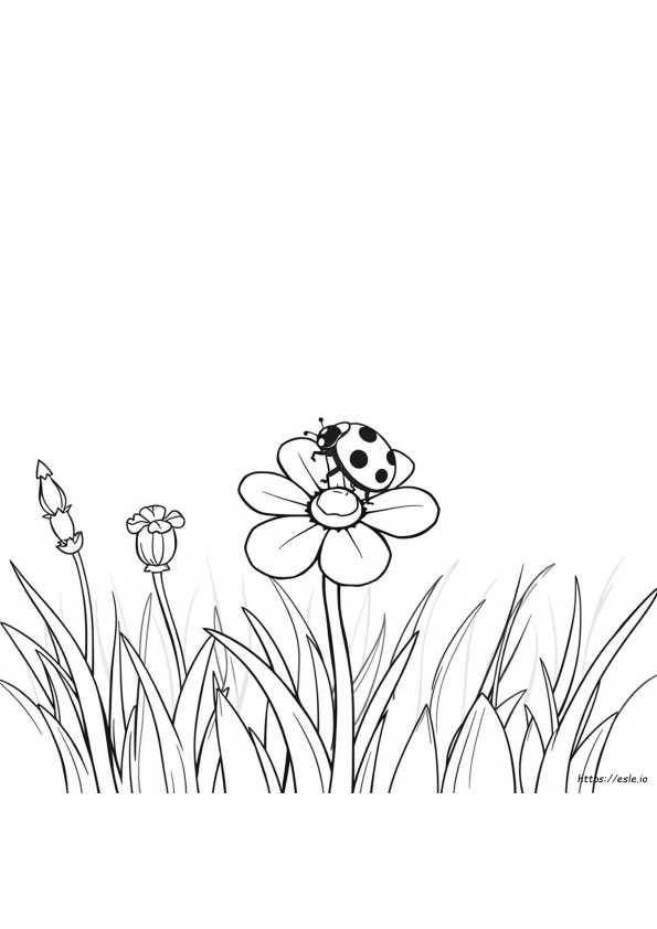 Ladybug Coloring Sheet