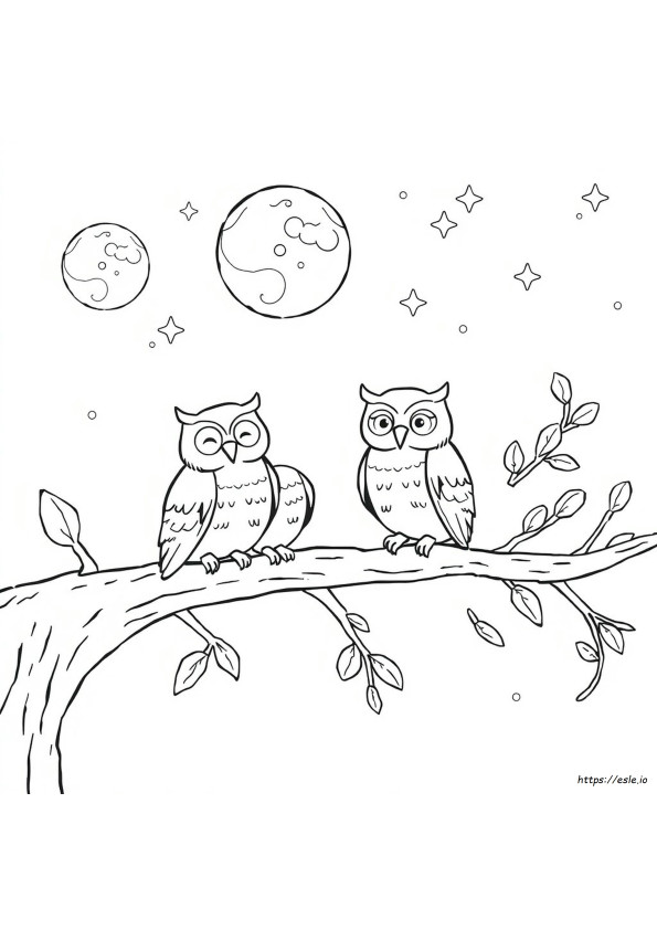 Owl Colouring Pictures Printable
