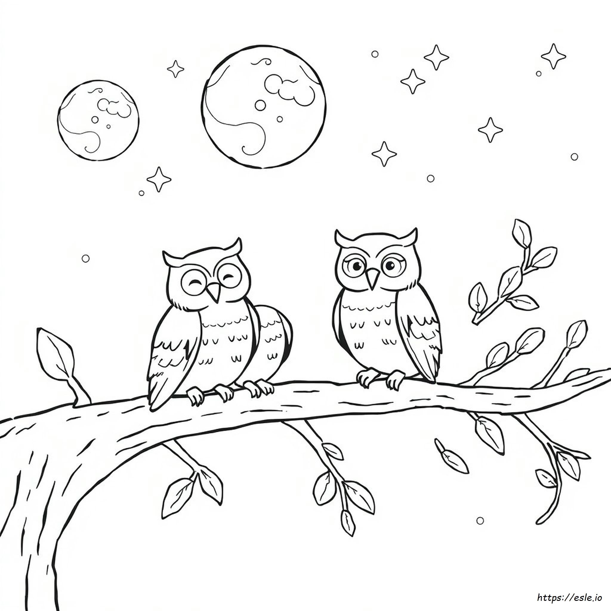 Owl Colouring Pictures Printable