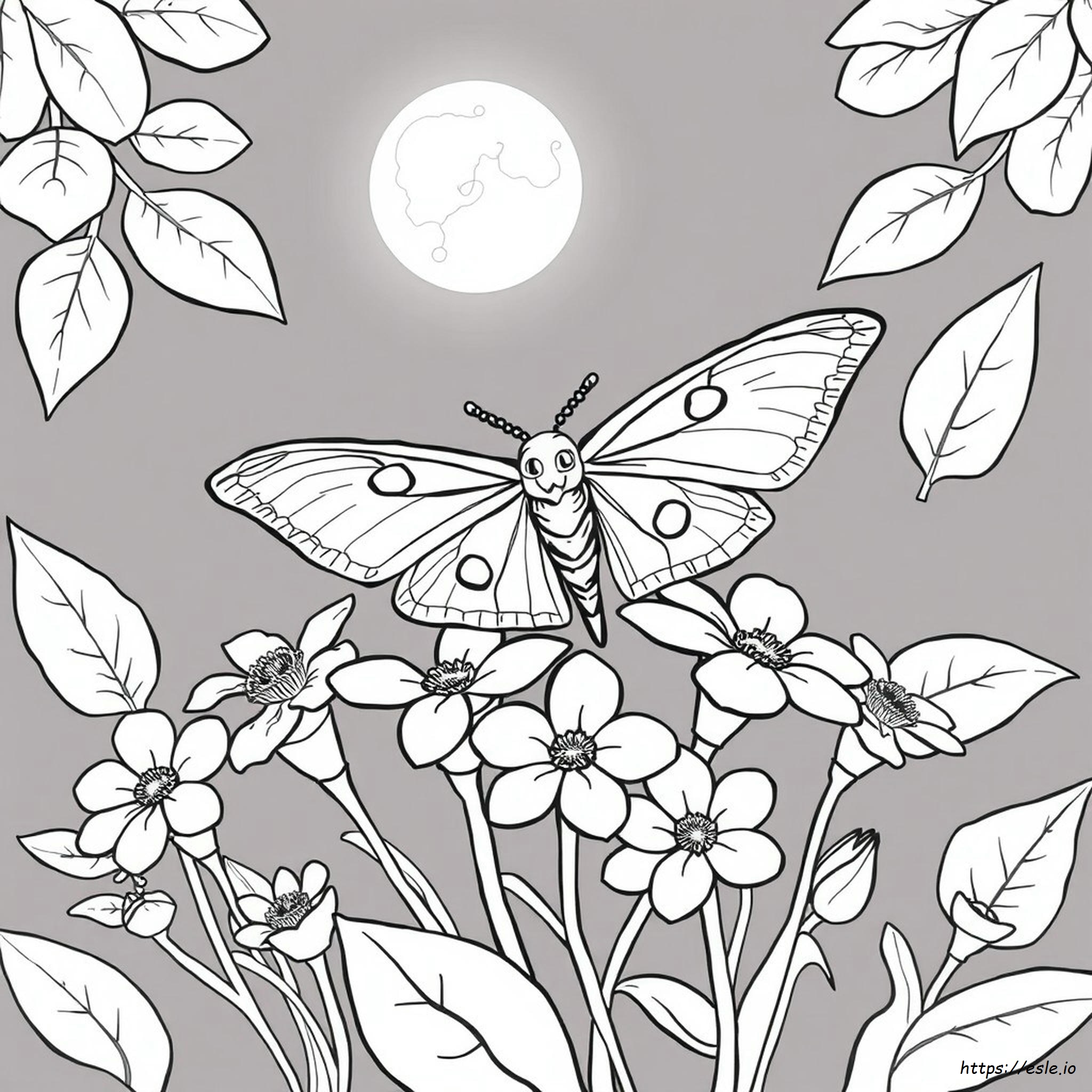 Can Moths Be Colorful Coloring Page
