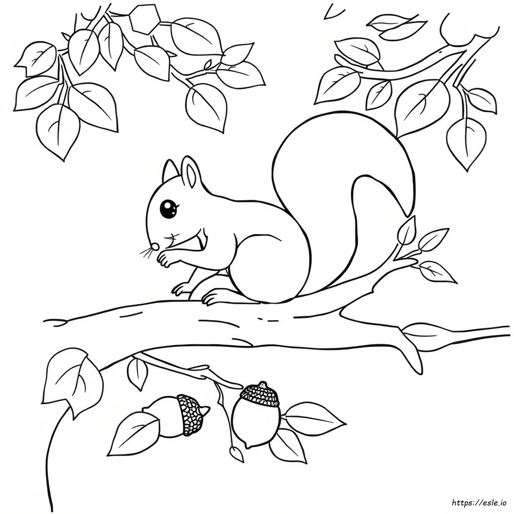 Squirrel Coloring Page For Preschool - Free Printable