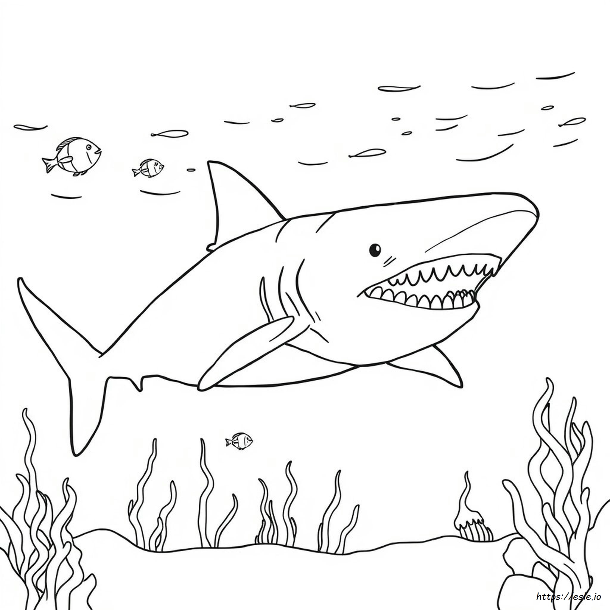 Megladon Colouring In
