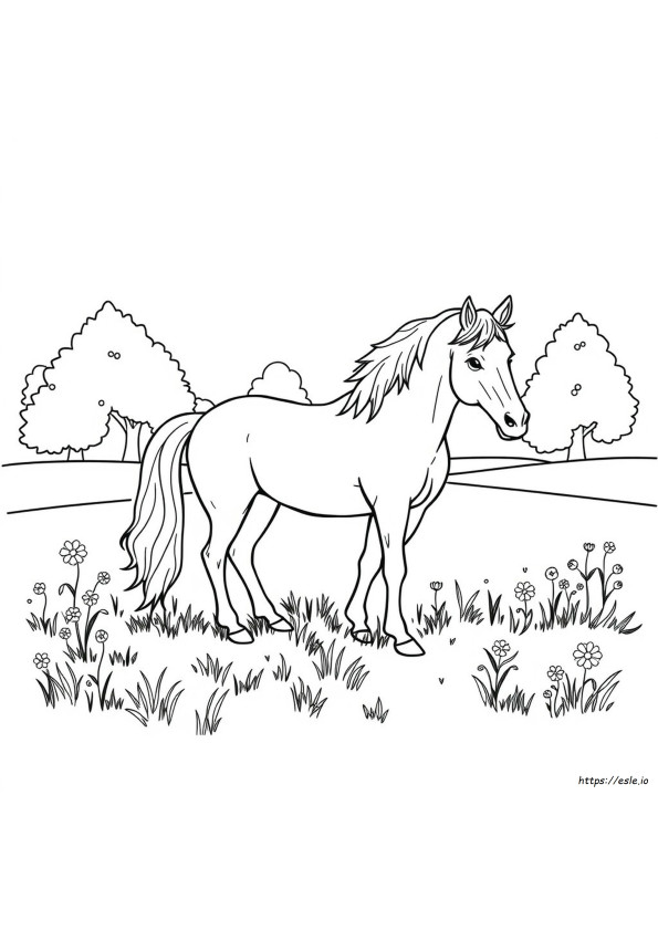 Cavalos Para Colorir