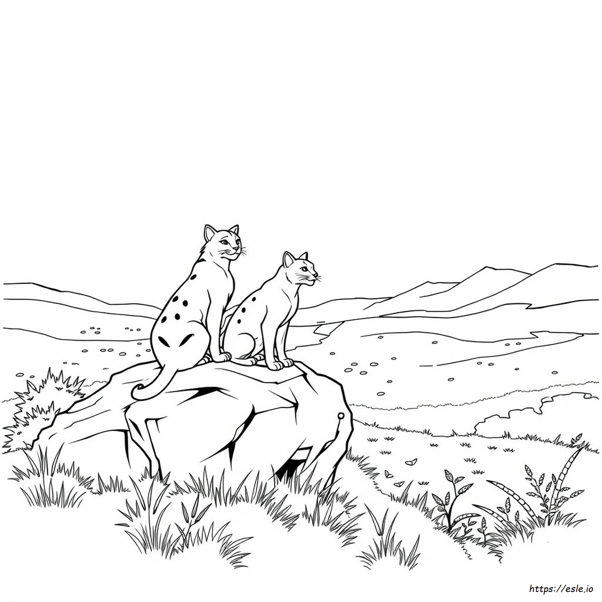 Gambar Mewarnai Kucing Prajurit