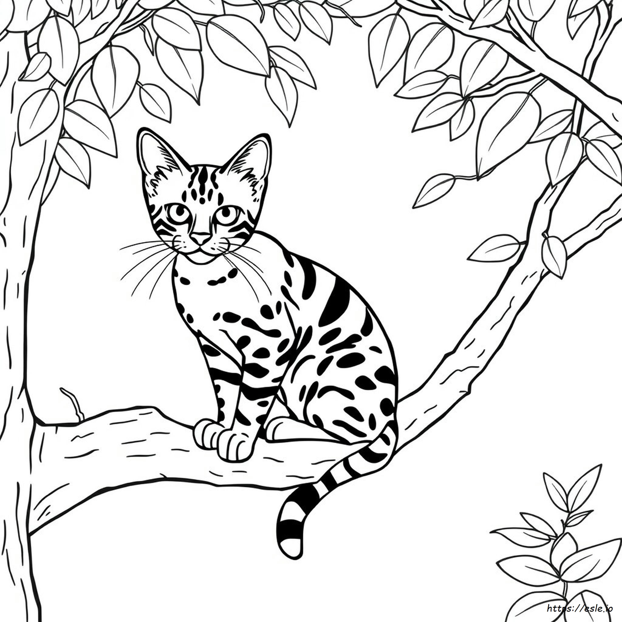 Bengal Cat Coloring Pages