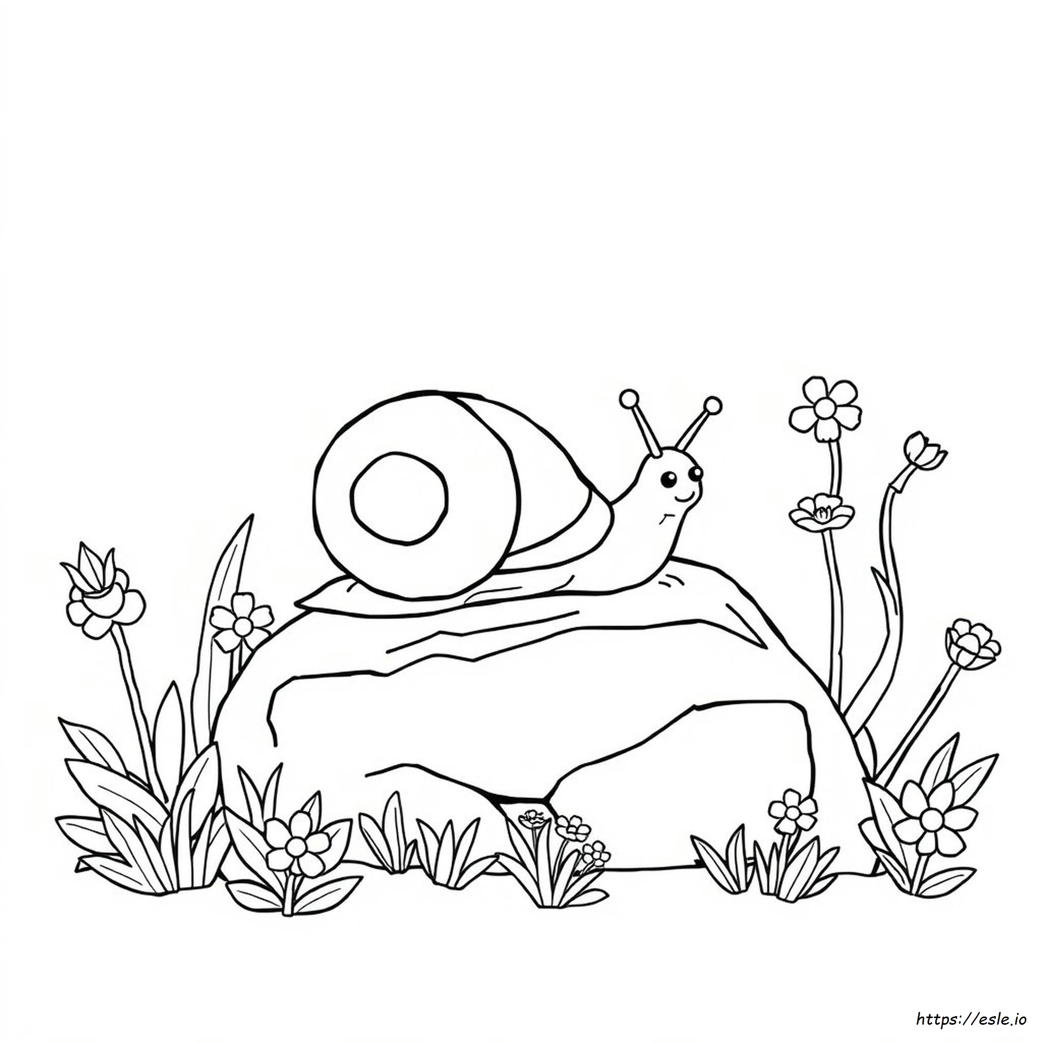Schnecke Ausmalen