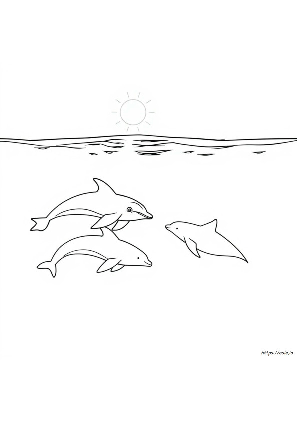 Dibujos Para Colorear De Ballenas Y Delfines