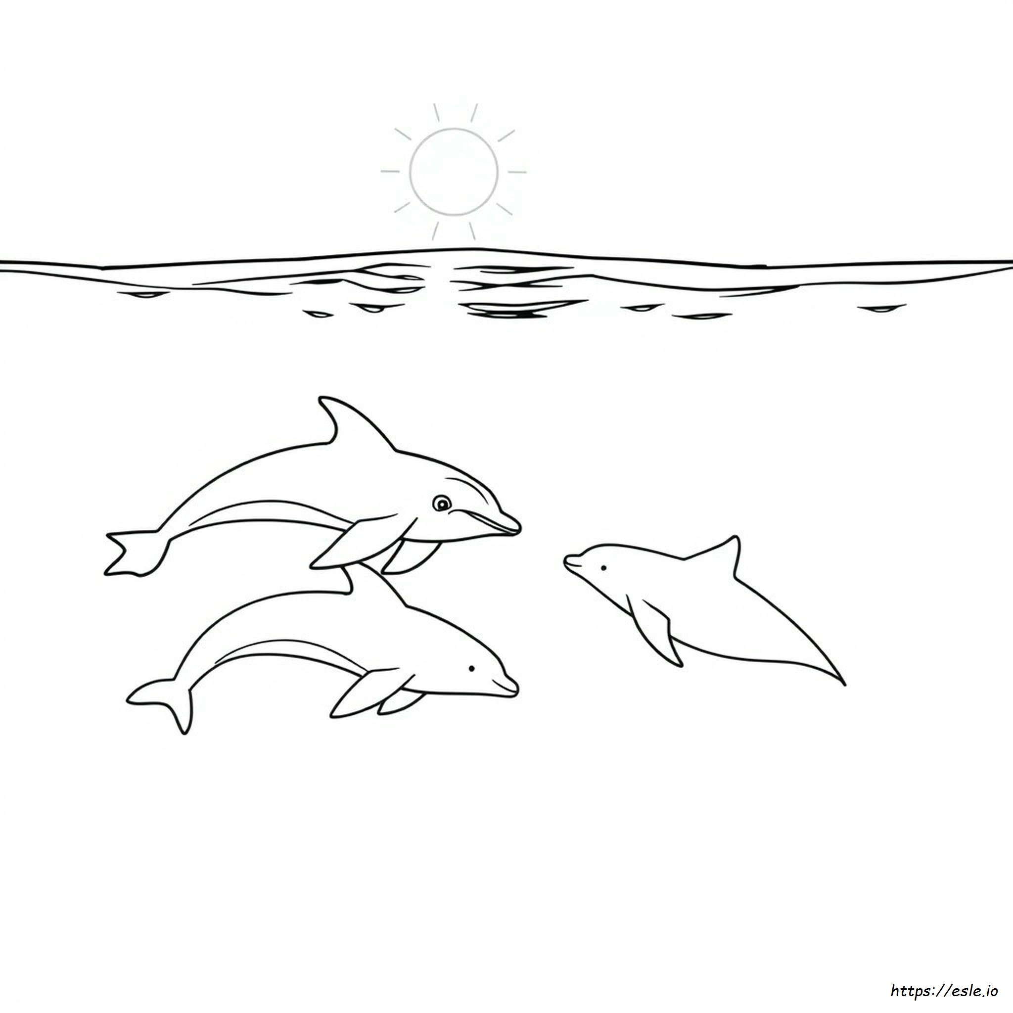 Balene E Delfini Da Colorare - Pagina Da Stampare Gratis