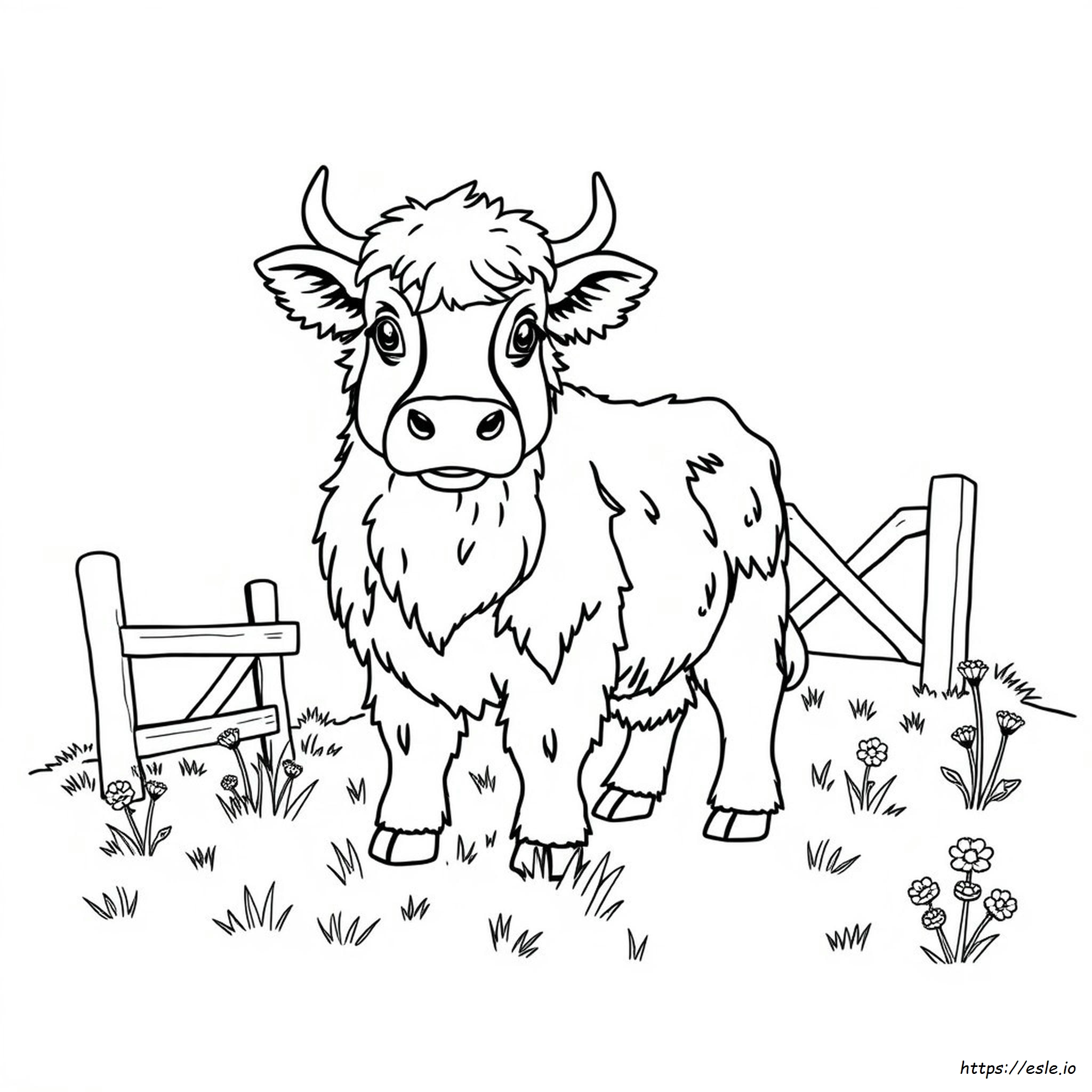Baby Highland Cow Coloring Page - Free Printable