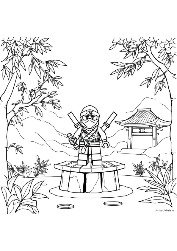 Ninja Go Coloring