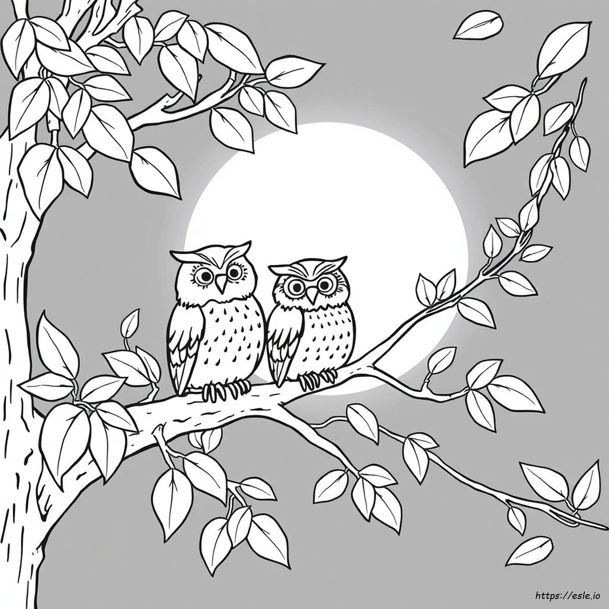 フクロウのぬりえ