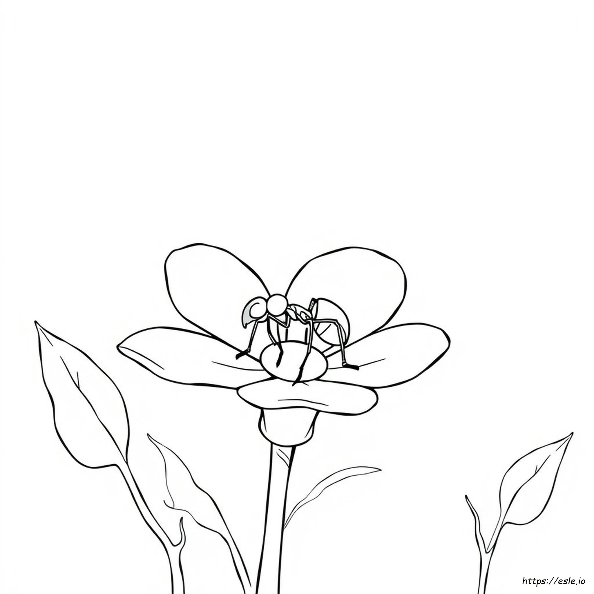 Ant Coloring Page Pdf